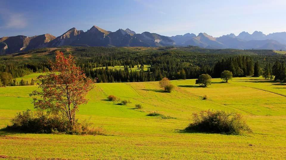 Pokoje Goscinne Panorama Rzepiska Exteriér fotografie